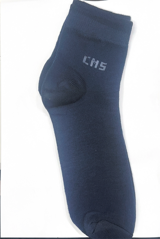 CM Shri School Socks
