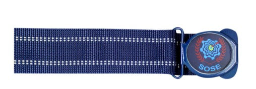 CM Shri School Belt